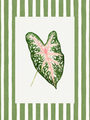 Image Not Available
